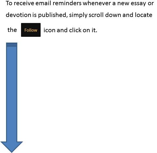 Follow Page Content Crop01